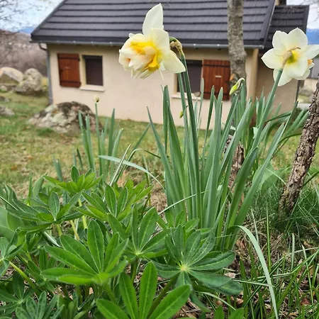 Le Parc De Latour, Au Pied De La Montagne Prázdninový dům Latour-de-Carol